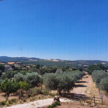 Fattoria La Campigliola Apartment ภายนอก รูปภาพ